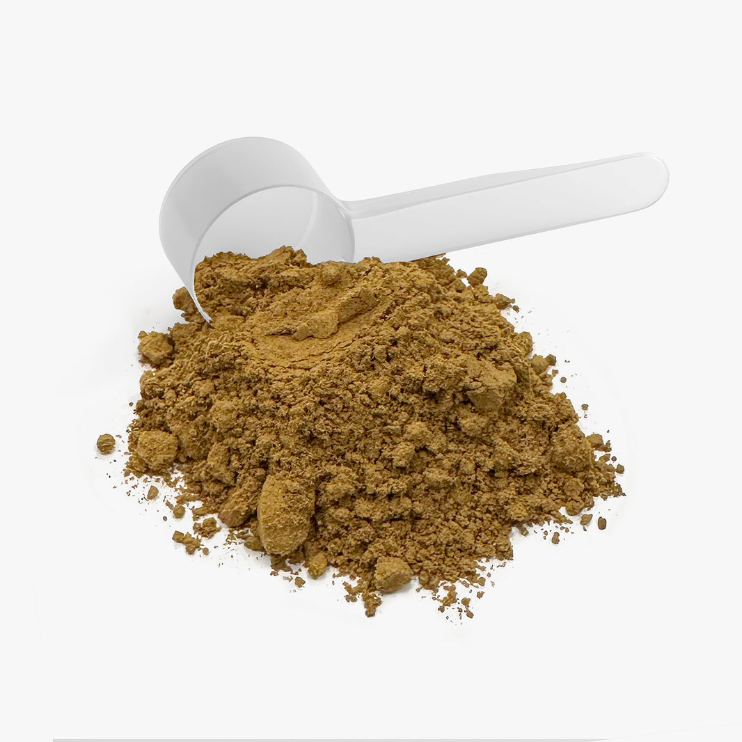 RISE. ROAR. REPEAT. Instant Mushroom Coffee