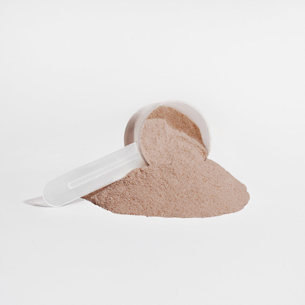 PLANT PROPEL (Chocolate)
