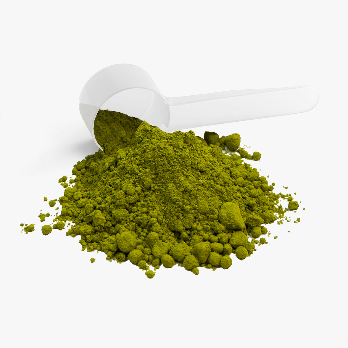MATCHA IN MIND - Ceremonial Grade Tea Powder